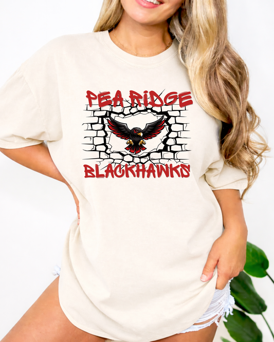 Pea Ridge Blackhawks brick wall