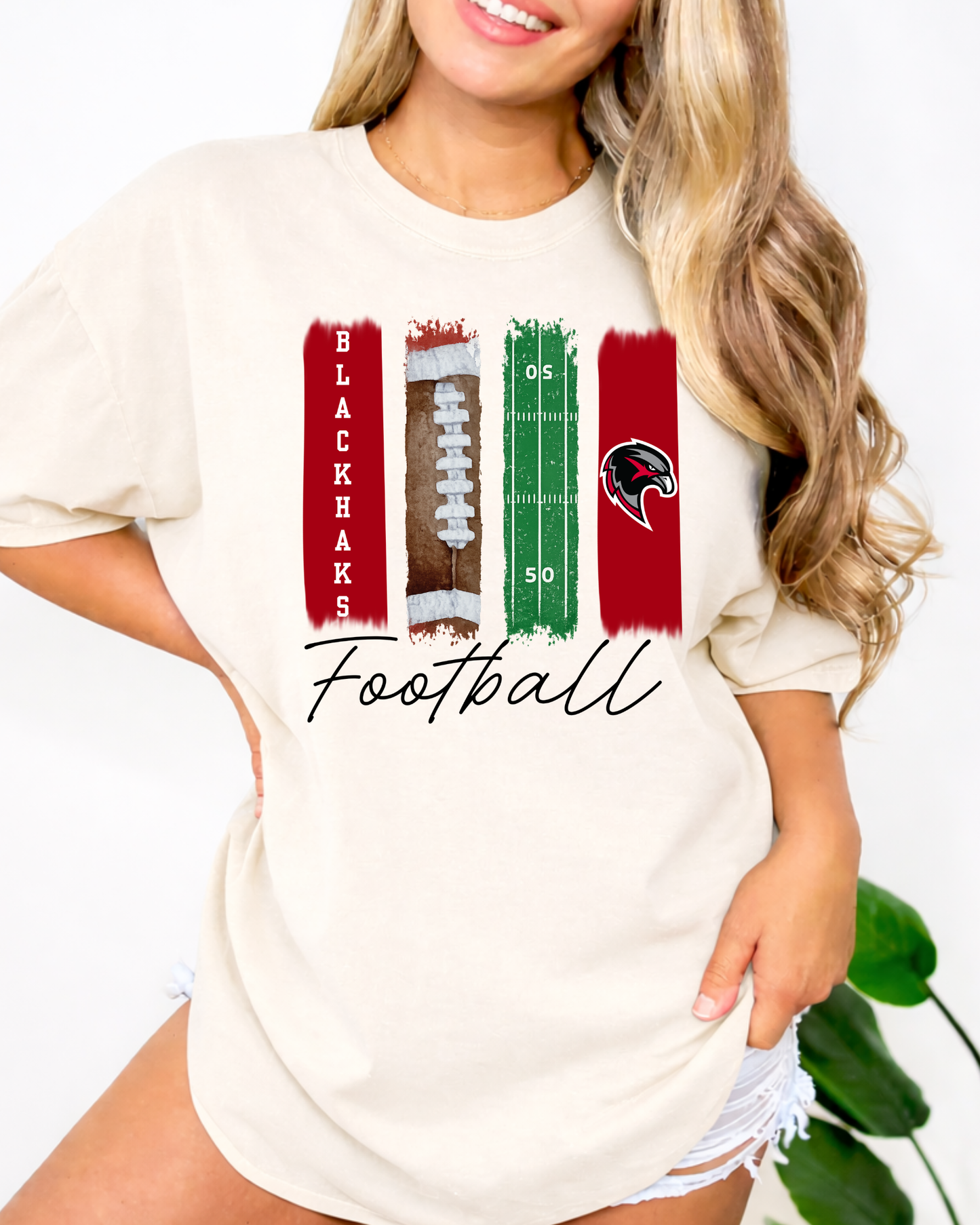 Pea Ridge blackhawks Football paint swatches