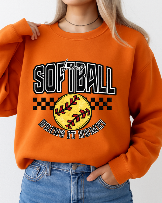 Lions Softball Bring It Home